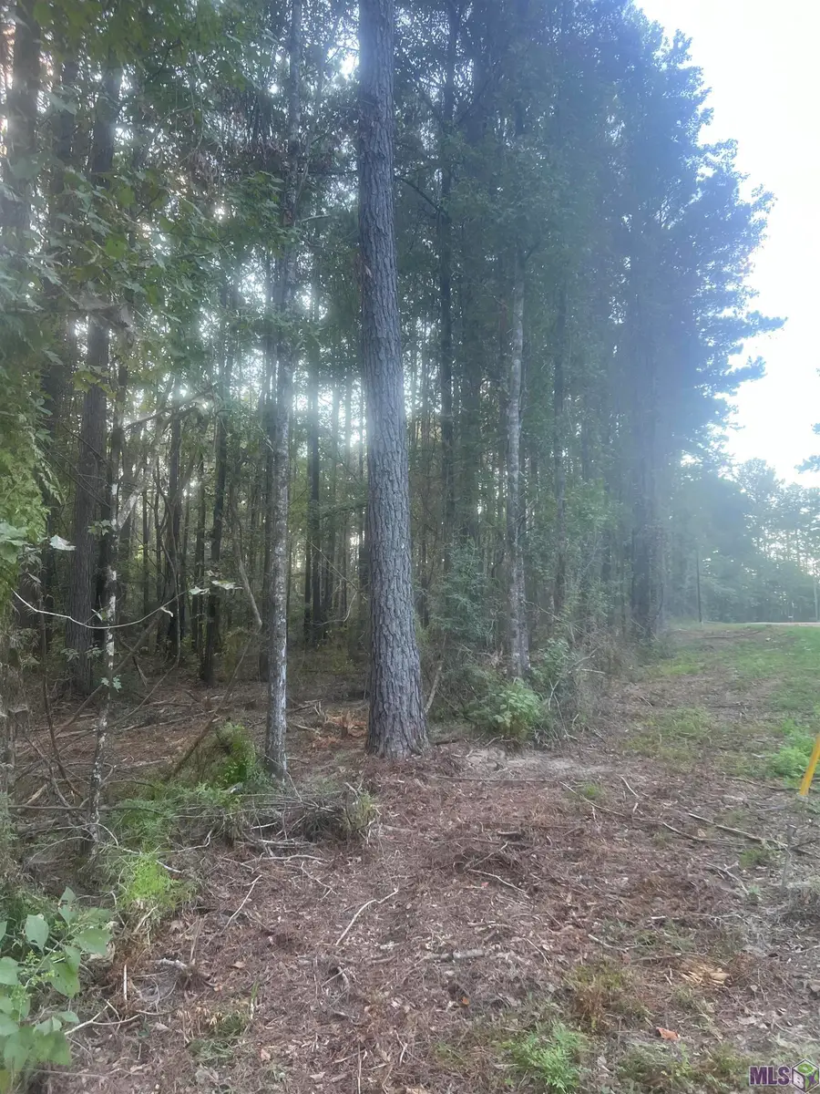 TBD-B2 La Hwy 10, Clinton, LA 70722 - #2