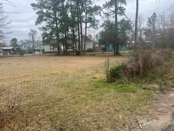 tbd9 Pat's Lane, Springfield, LA 70462