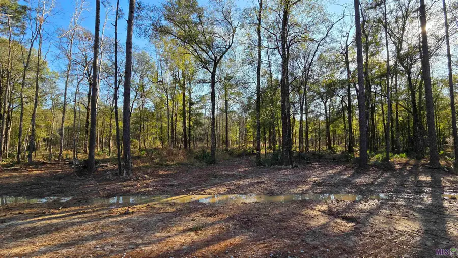 Lot 3 Livingston Farms Lane, Livingston, LA 70754 - #3