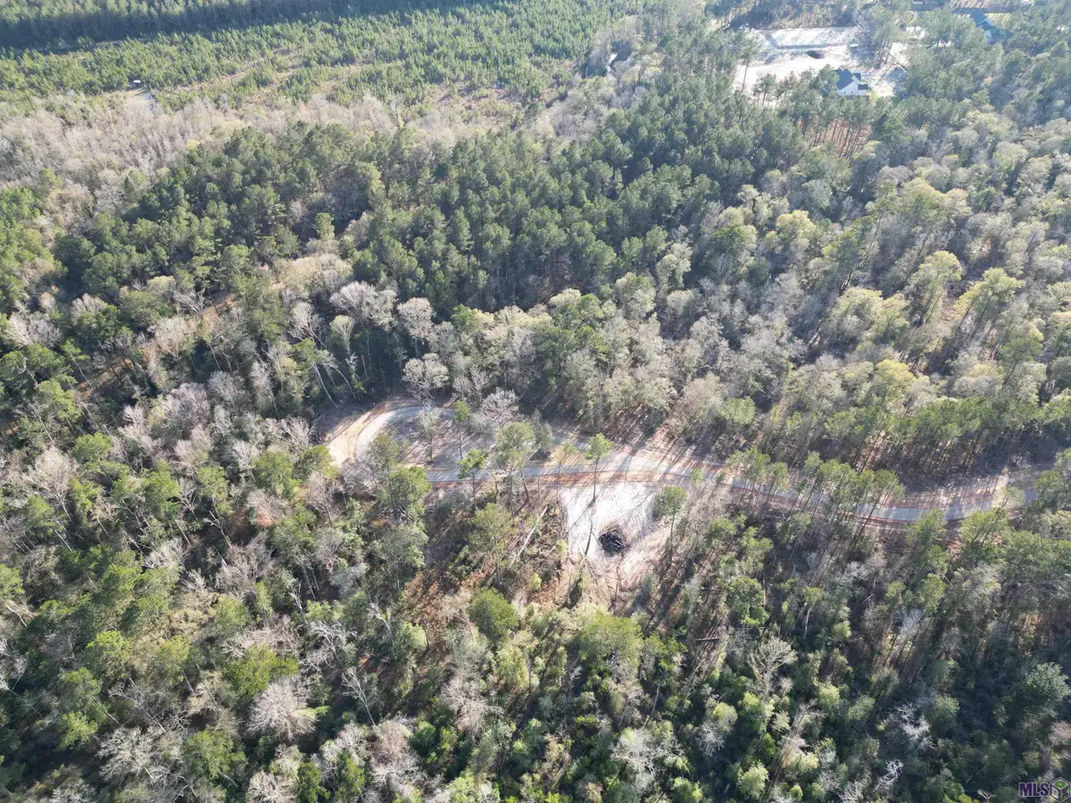 Lot 5 Livingston Farms Lane, Livingston, LA 70754 - #1