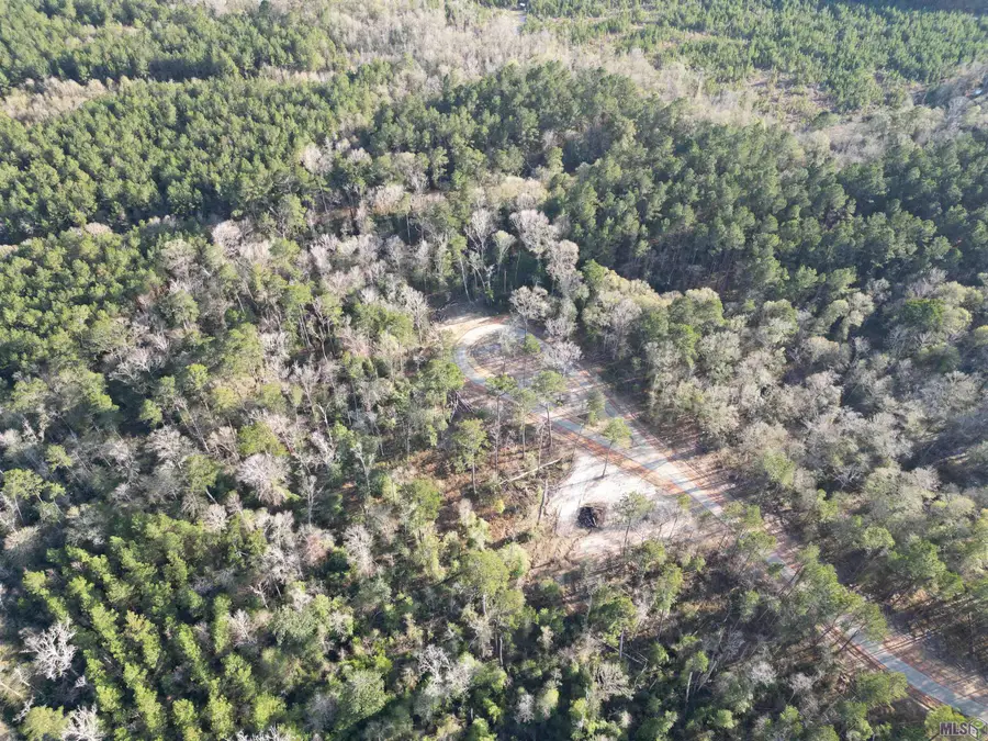 Lot 5 Livingston Farms Lane, Livingston, LA 70754 - #2