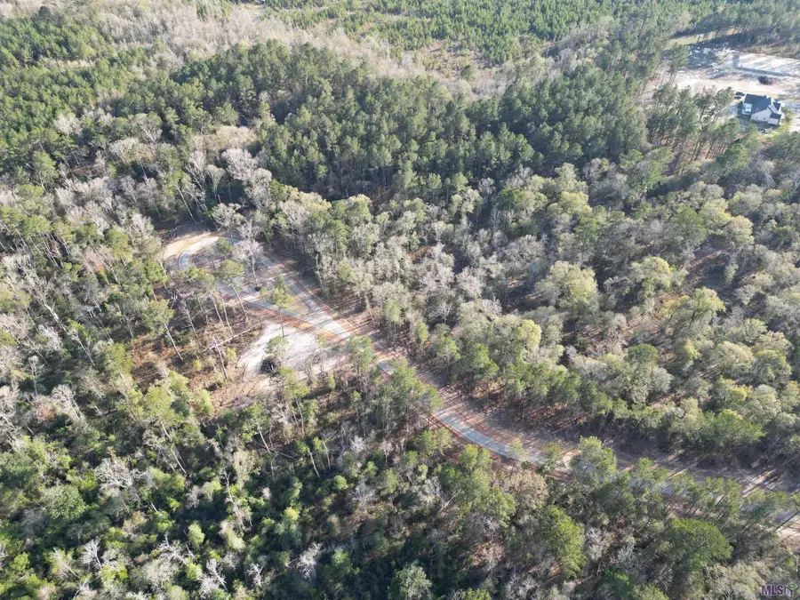 Lot 6 Livingston Farms Lane, Livingston, LA 70754 - #2