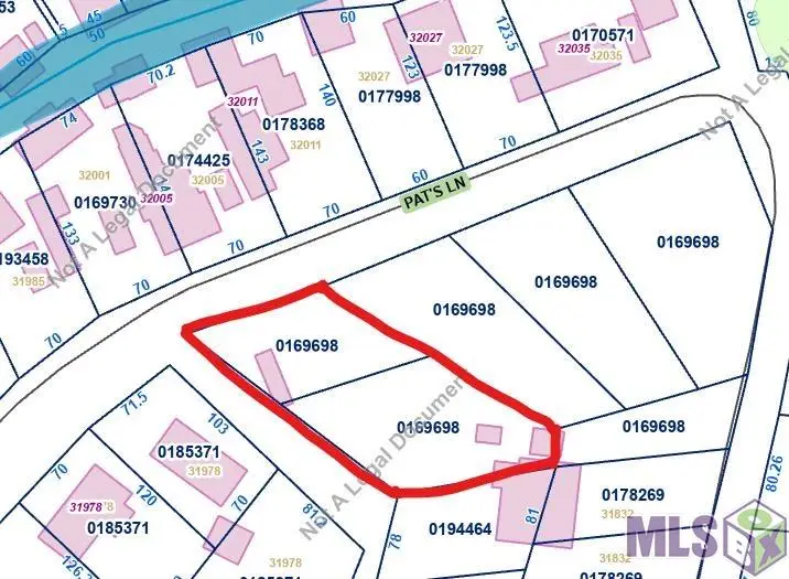 tbd1213 Pat's Lane, Springfield, LA 70462 - #3