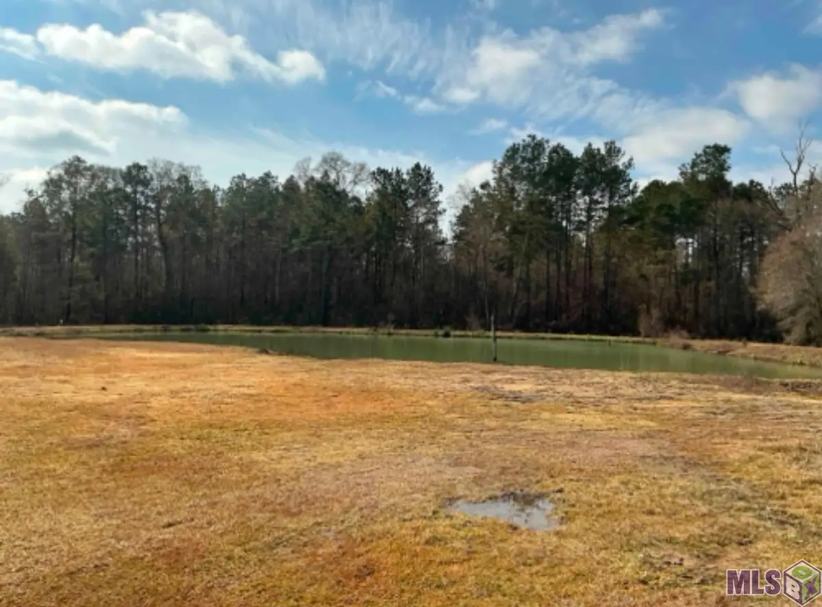 20229 Hwy 16, Denham Springs, LA 70726 - #1