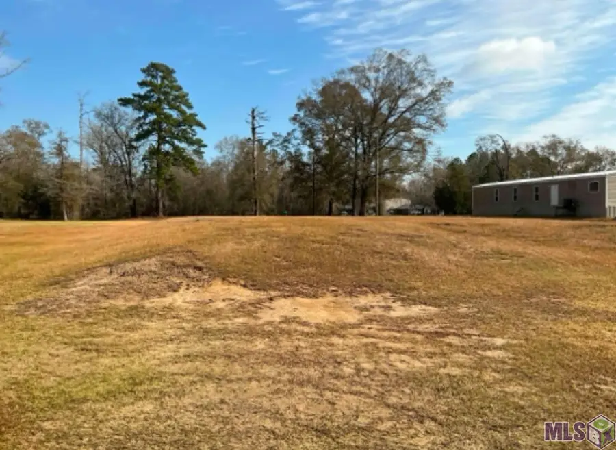 20229 Hwy 16, Denham Springs, LA 70726 - #3