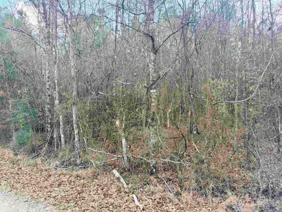 TBD Hwy 1036 Highway, Holden, LA 70744 - #3