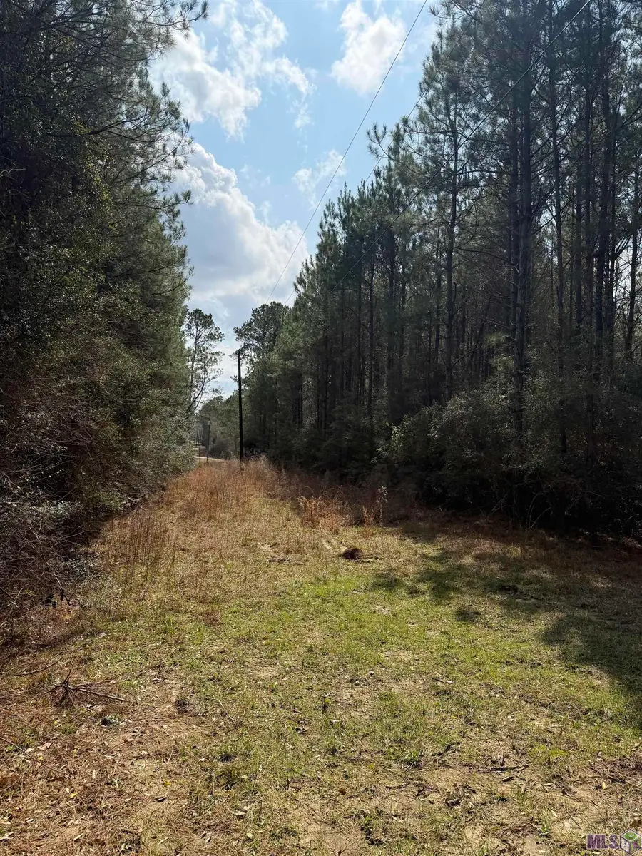 TBD Terrell Rd, Montpelier, LA 70441 - #3