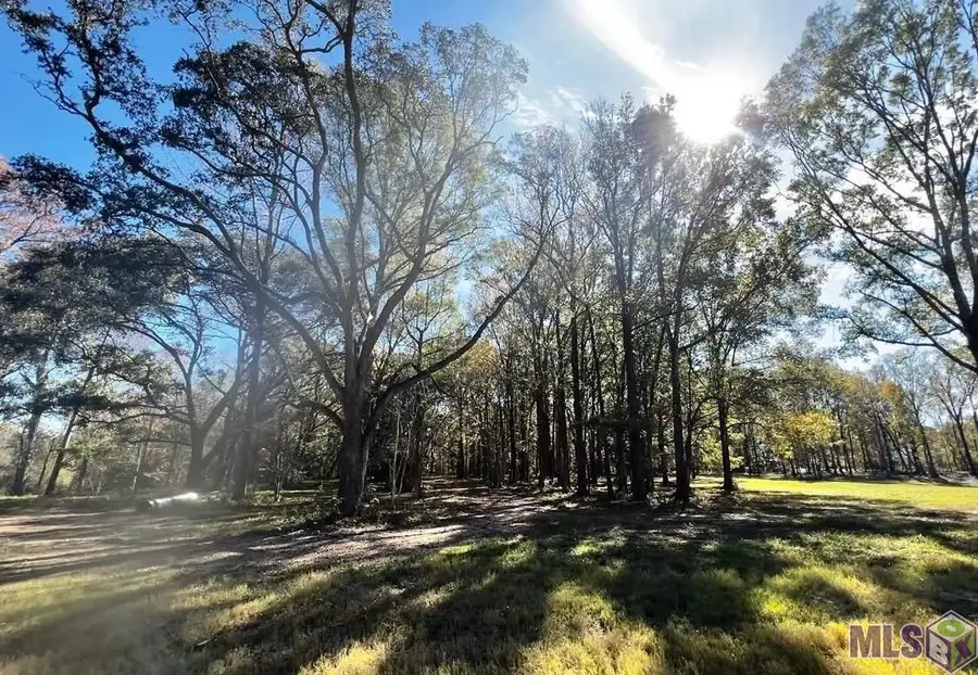 4009 Oak Run Dr, Saint Francisville, LA 70775 - #2