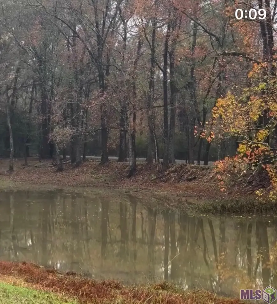 4039 Oak Run Dr, Saint Francisville, LA 70775 - #3
