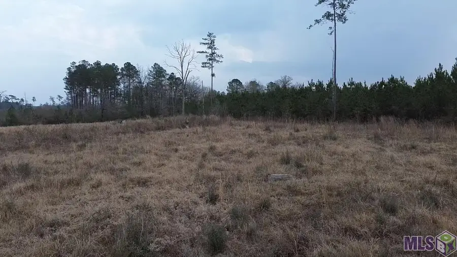 Tract 1A Teal Mcdaniel Rd, Greensburg, LA 70441 - #3
