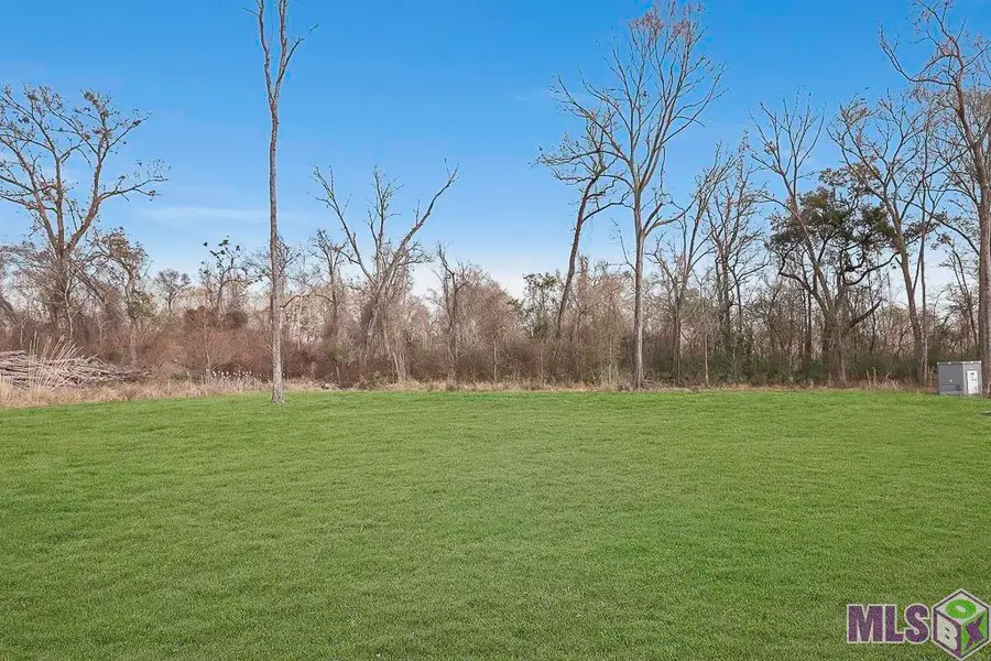 38384 N Robert Wilson Rd, Gonzales, LA 70737 - #3