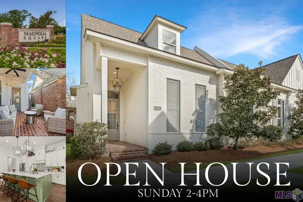 13374 Virage Ct, Baton Rouge, LA 70818