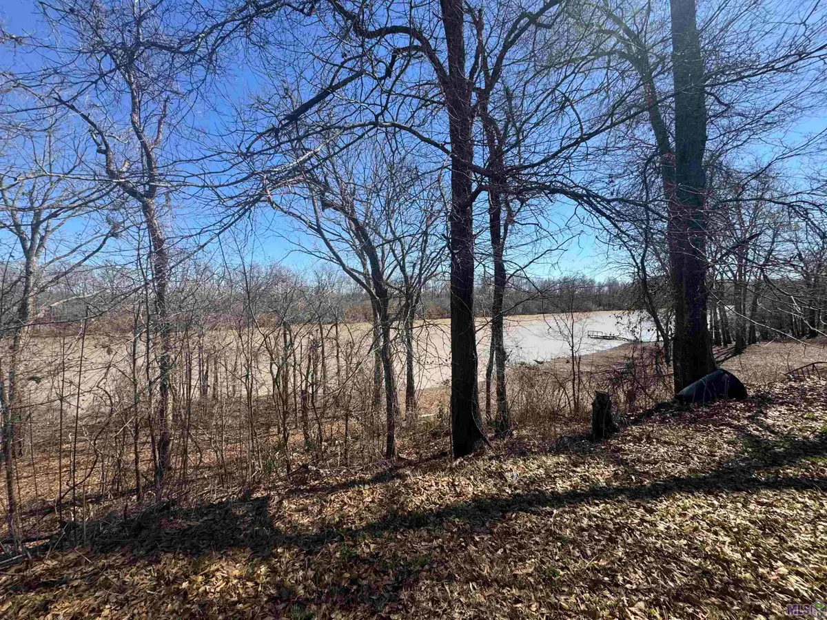 576 Elam Turner Road, Clayton, LA 71326 - #1