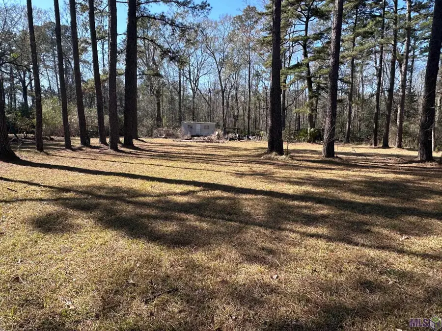 28395 Mcarthur Dr, Livingston, LA 70754 - #2