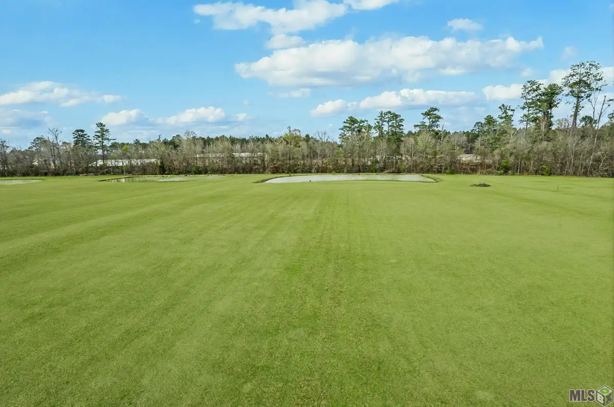 21293 Mayberry Lane, Livingston, LA 70754 - #1