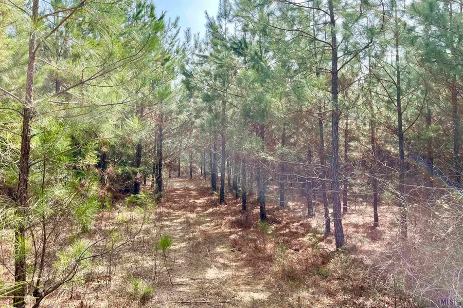 02 Arkansas, Marion, LA 71260 - #2