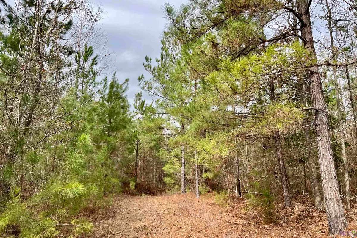 01 Ford Road, Marion, LA 71260 - #1