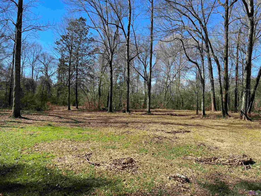 282 Price Rd, Clinton, LA 70722 - #3