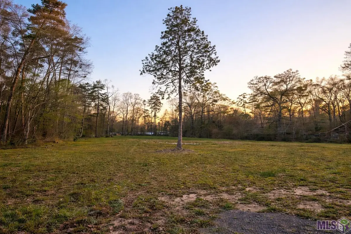 10246 Hemisphere Ln, Denham Springs, LA 70726 - #1