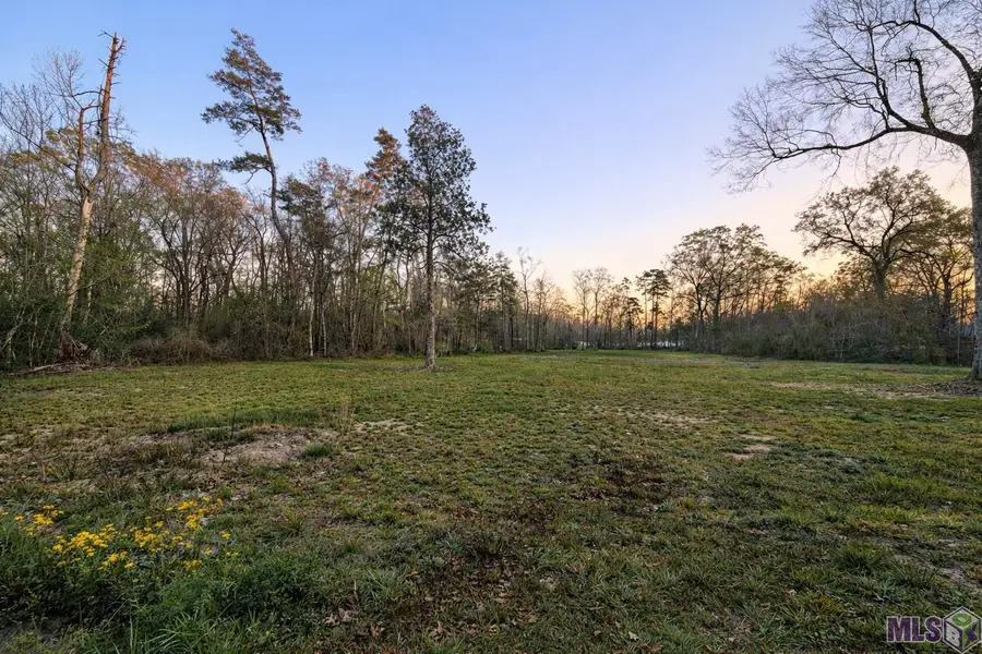 10246 Hemisphere Ln, Denham Springs, LA 70726 - #2