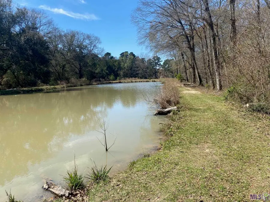 B-1-A-3 Spring House Dr, Greenwell Springs, LA 70739 - #2