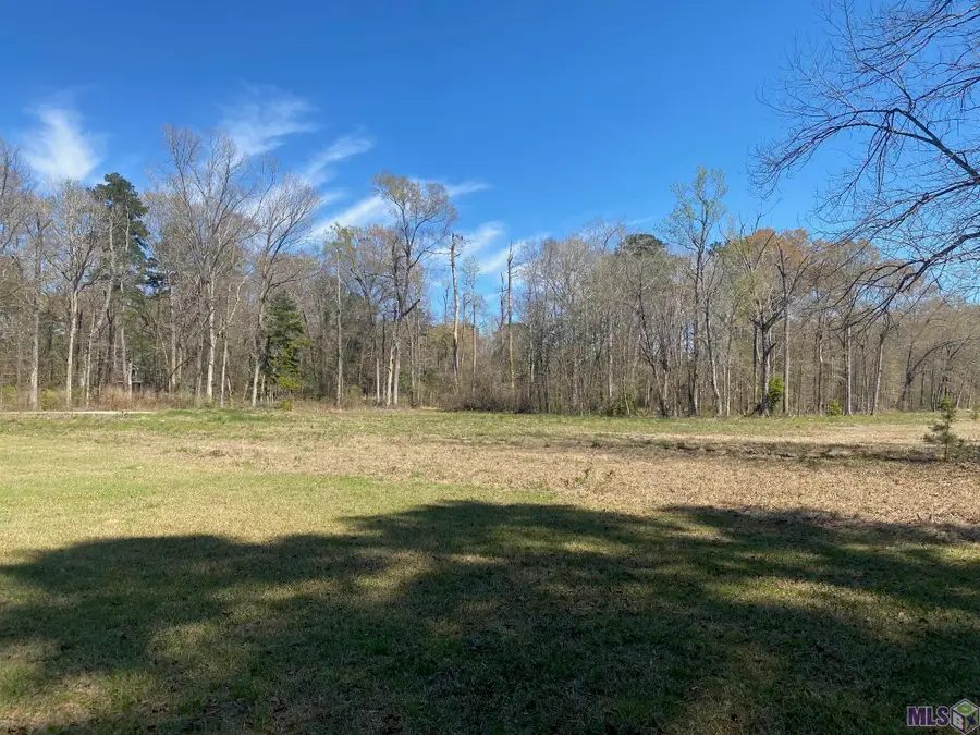 B-1-A-3 Spring House Dr, Greenwell Springs, LA 70739 - #3