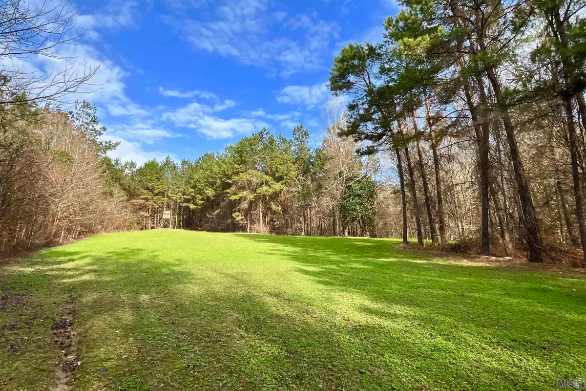 10078 Old Port Gibson Road, Other, MS 39086 - #1
