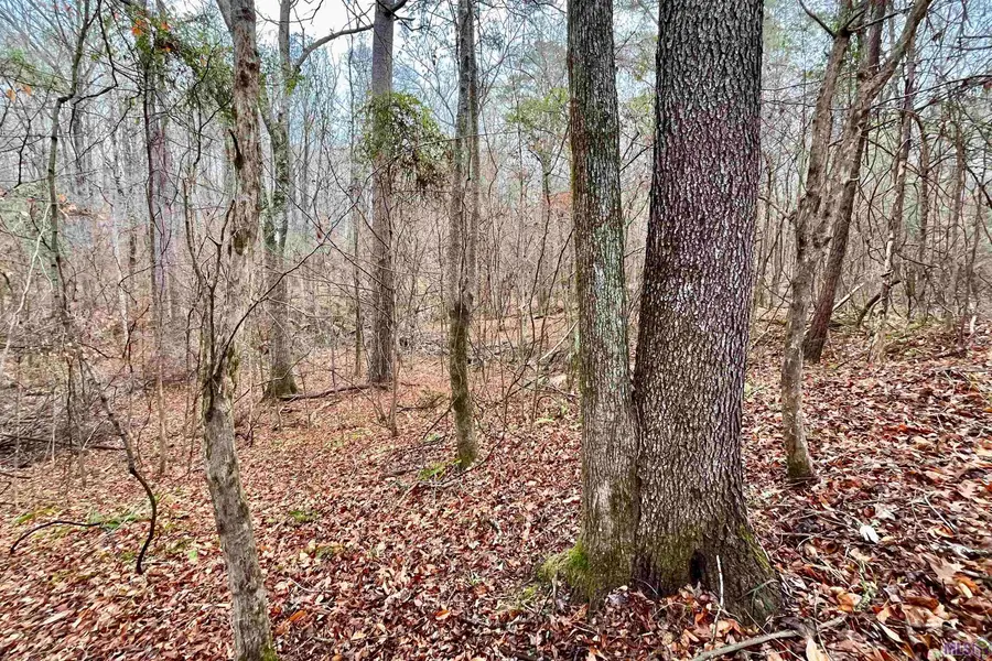 10078 Old Port Gibson Road, Other, MS 39086 - #2