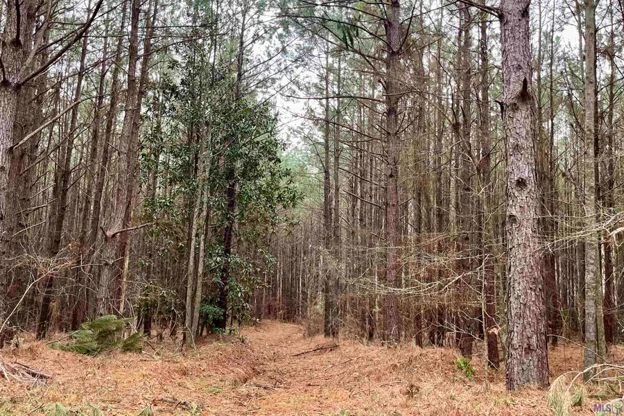 10078 Old Port Gibson Road, Other, MS 39086 - #3