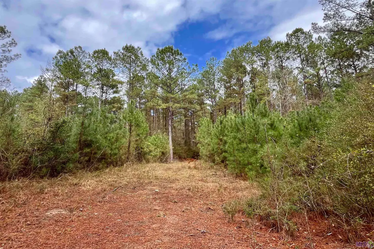 01 Hinton Rd, Gloster, MS 39638 - #1