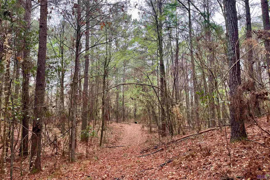 02 Hinton Rd, Gloster, MS 39638 - #2