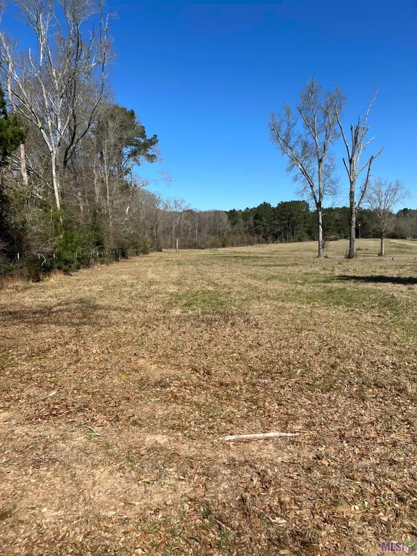 Lot 2-A-1 Andrews Ln, Clinton, LA 70722