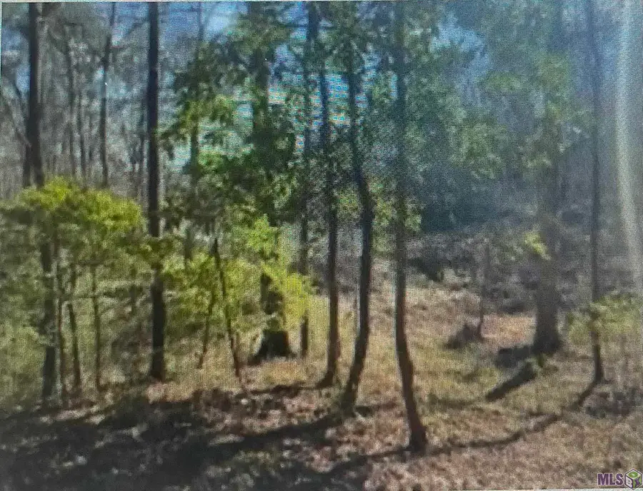 LOT 12 Turkey Creek Rd, Natchez, MS 39120 - #3