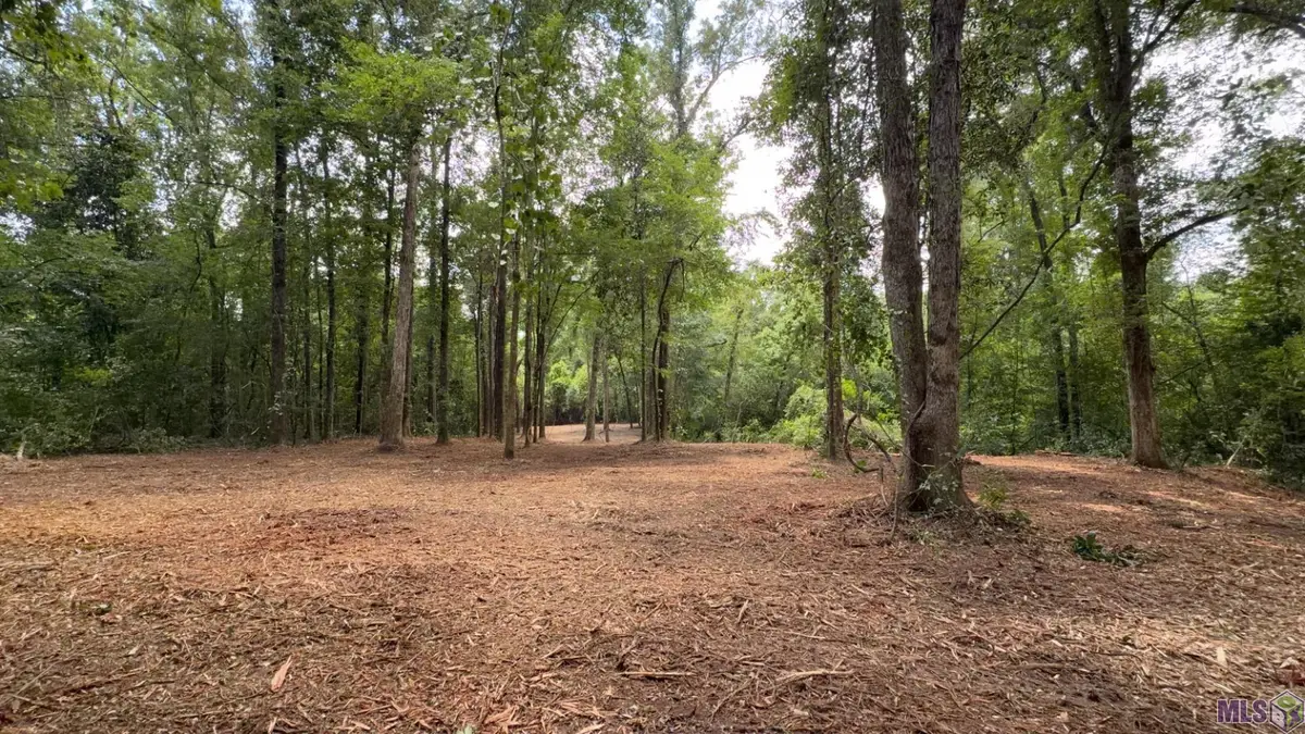 Tract X-1 Scott Barr Rd, Slaughter, LA 70777 - #1