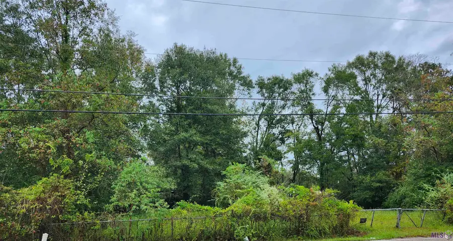 413 Edgewood Dr, Denham Springs, LA 70726 - #2