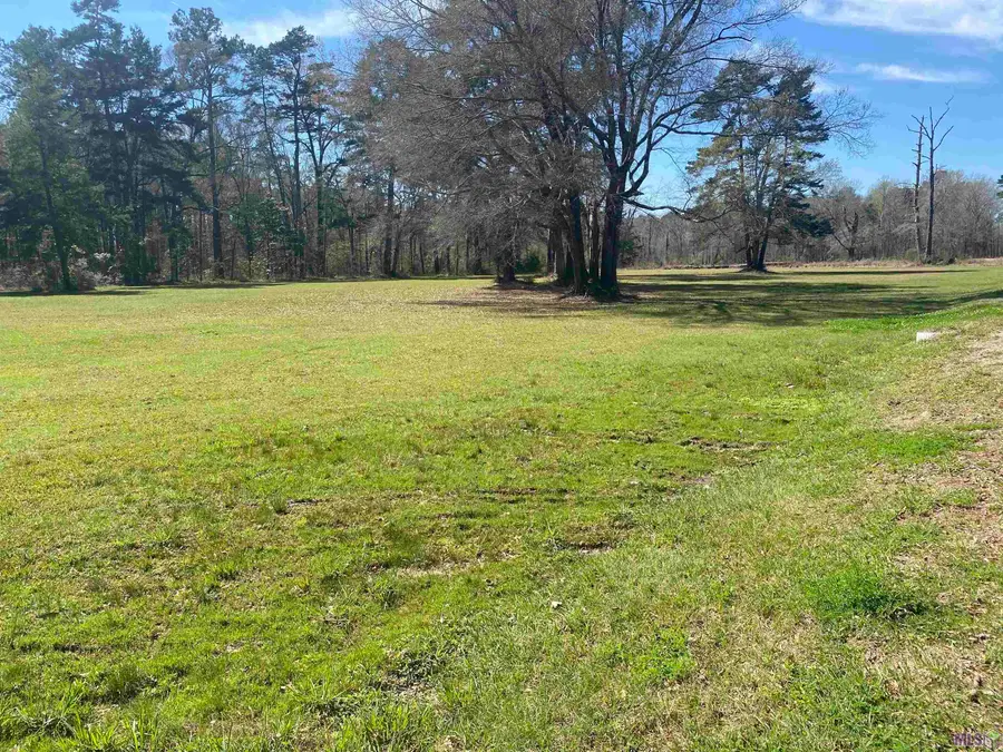 B-1-A-2 Spring House Dr, Greenwell Springs, LA 70739 - #2