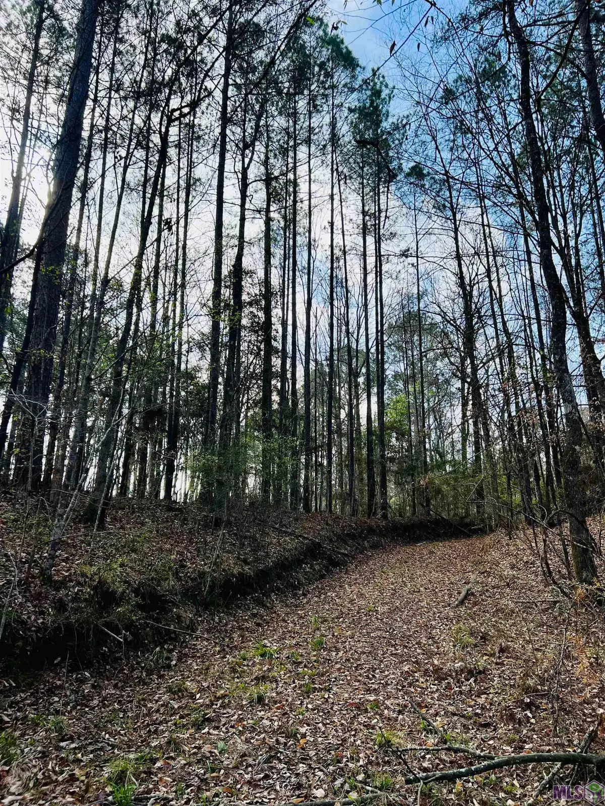 15397 Rogers Rd, Saint Francisville, LA 70775 - #1