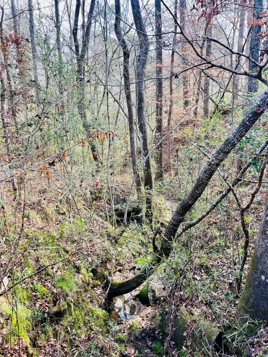 15397 Rogers Rd, Saint Francisville, LA 70775 - #2