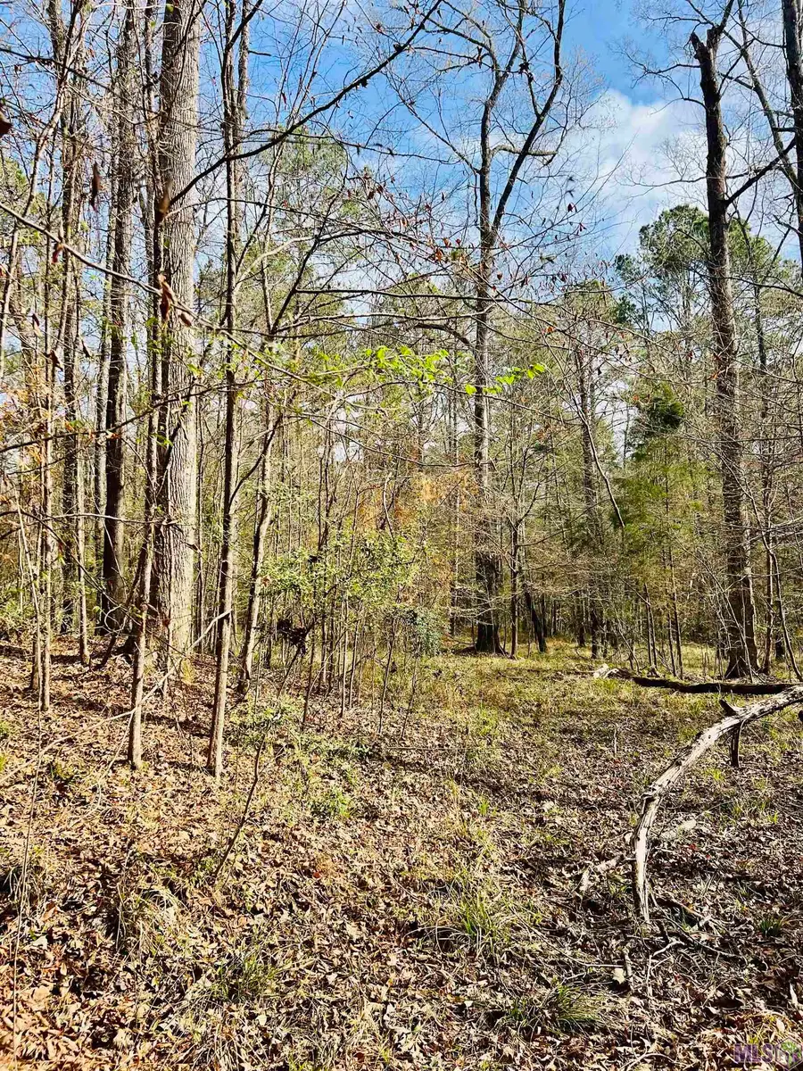 15397 Rogers Rd, Saint Francisville, LA 70775 - #3