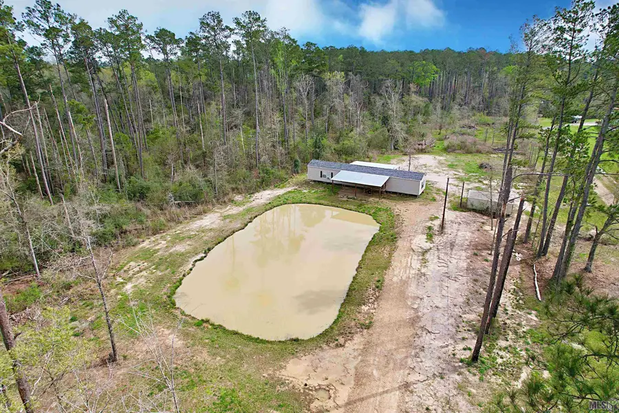 36610 Hwy 441, Holden, LA 70744 - #3