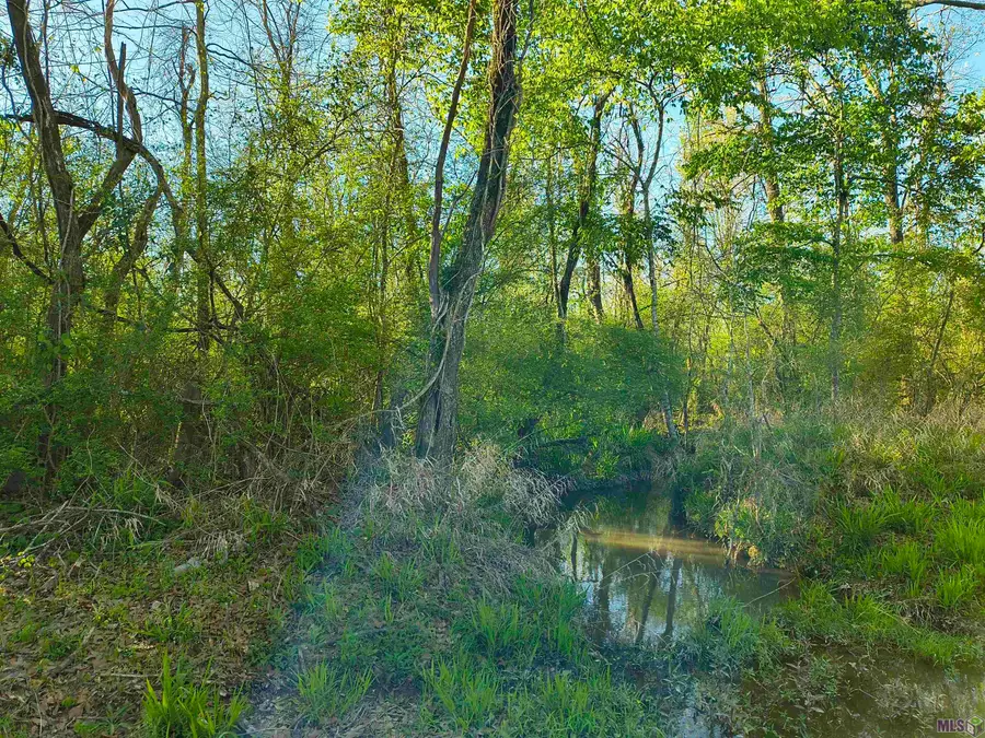 TBD Brian Rd, Jackson, LA 70748 - #2