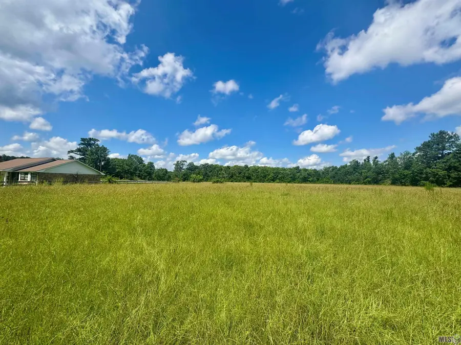 TBD Aydell Ln, French Settlement, LA 70733 - #2