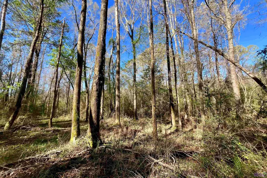 50 Hall And Lindsey Rd, Greensburg, LA 70441 - #3