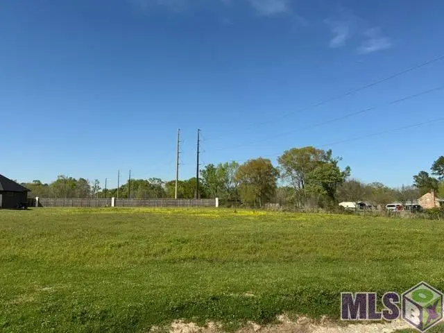 1-A Oakland Dr, Prairieville, LA 70769 - #2