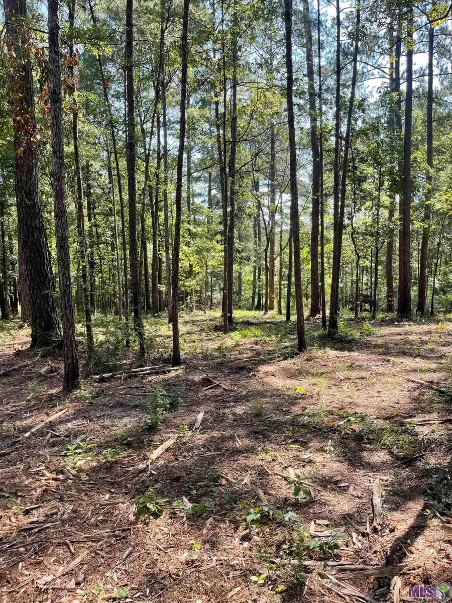 TBD Mack Ln, Clinton, LA 70722 - #2