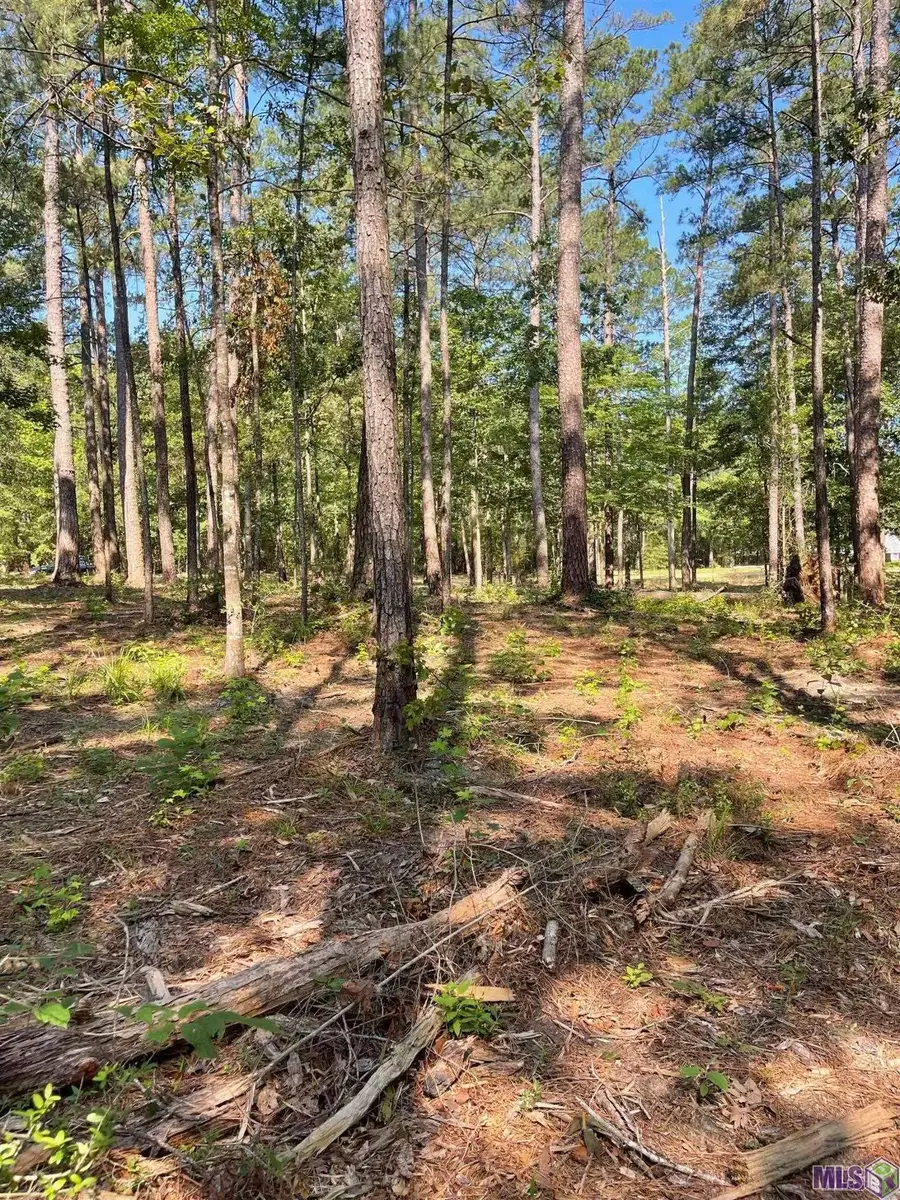 TBD Mack Ln, Clinton, LA 70722 - #3