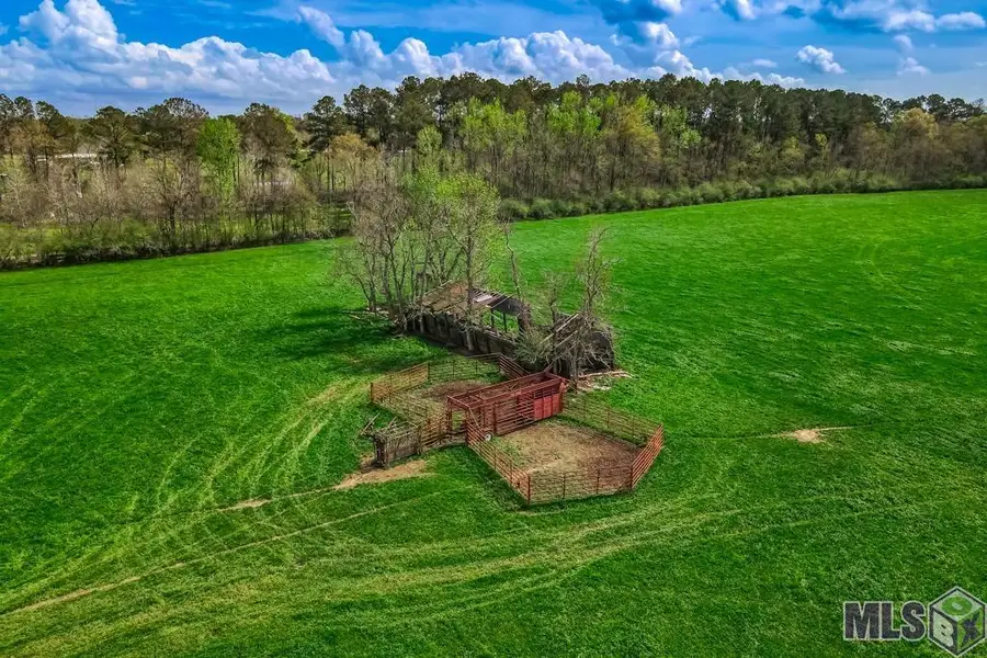 La Hwy 1063, Independence, LA 70443 - #3