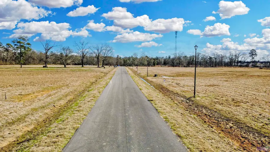 Lot 1 Grandview Drive, Denham Springs, LA 70726 - #3