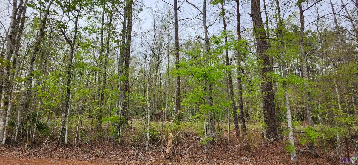 Lot A-1 Lod Stafford Rd, Walker, LA 70785 - #1