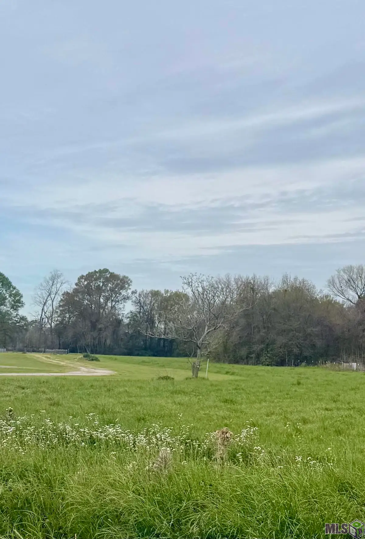 TBD Oakland Rd, Lakeland, LA 70752 - #1